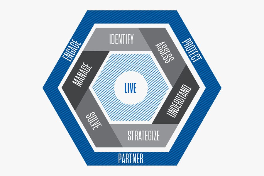 Private Risk Insurance - Private Risk Insurance Process Graphics