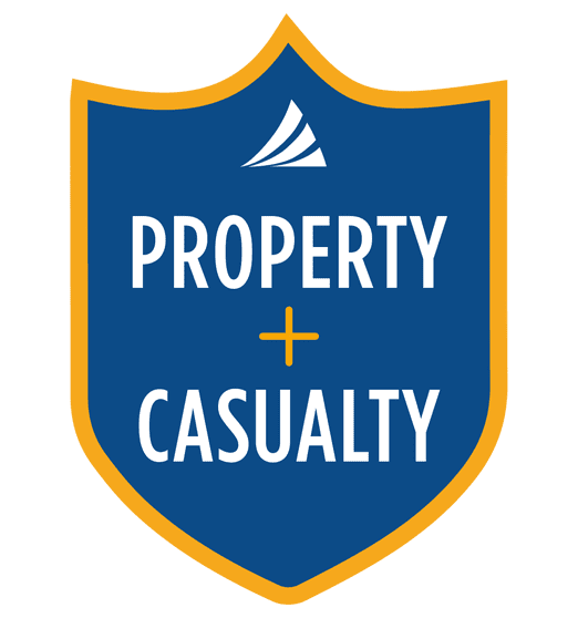 Shield Icon - Property and Casualty Insurance